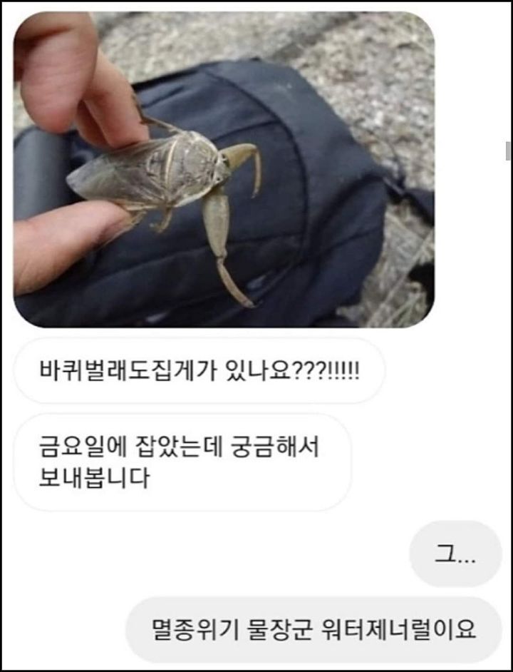 모르는게 없는 유튜버ㅋㅋㅋㅋㅋㅋ.jpg | 인스티즈