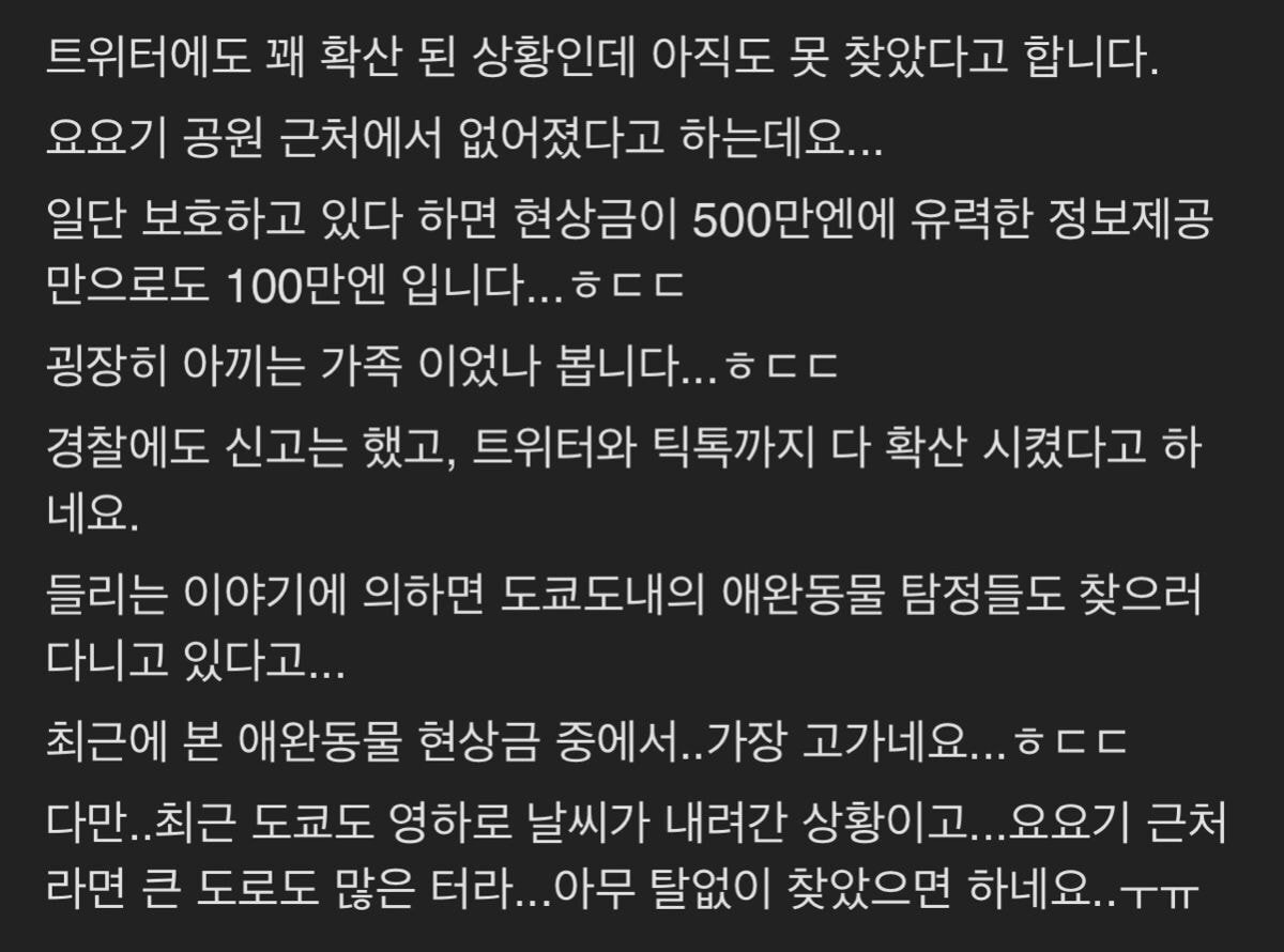 현재 도쿄도에서 많은 사람들이 눈에 불을 켜고 찾고 있는 댕댕이 | 인스티즈