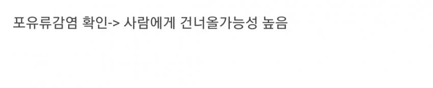 현재 전 세계로 퍼지고 있는 조류 독감.jpg | 인스티즈