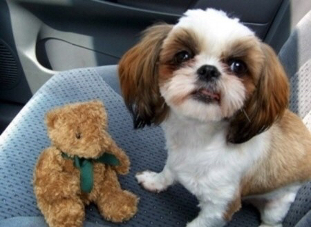 dd3af66063cc21ec61b3020bca96ceec9cf29539