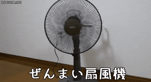 일본에서 만든 뭐든 태엽장치로 돌아가는 것처럼 보이게 만들어주는 발명품.gif | 인스티즈