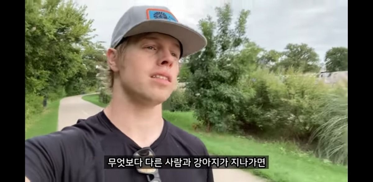 미국에서 당연시된다는 애견 문화 | 인스티즈