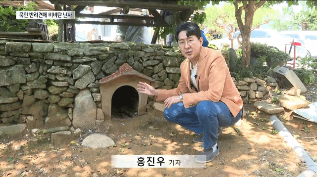 CCTV 공개된 거제 비비탄 노견 사망 사건.gif | 인스티즈