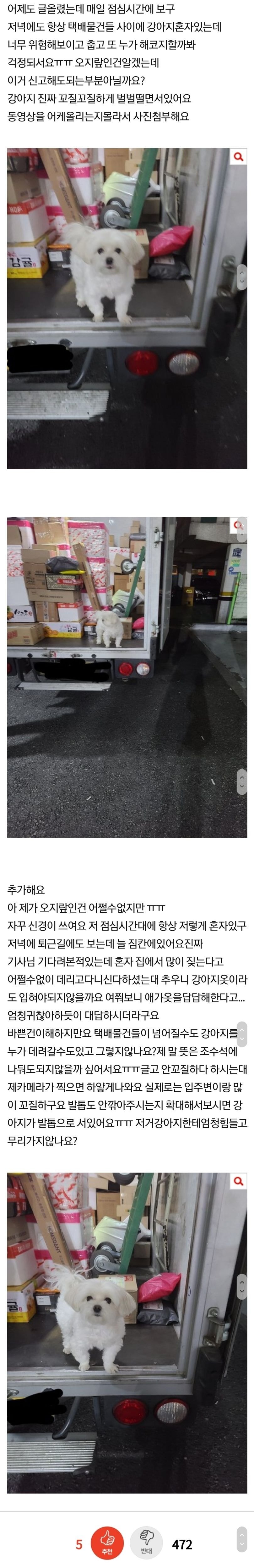 강아지 데리고 다니는 택배기사, 기사님 글 올라옴 + 이젠 강아지 절도까지 하려고 함 ㄷㄷㄷ | 인스티즈