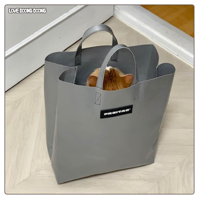 프라이탁 가방에 환장하는 냥이.gif | 인스티즈