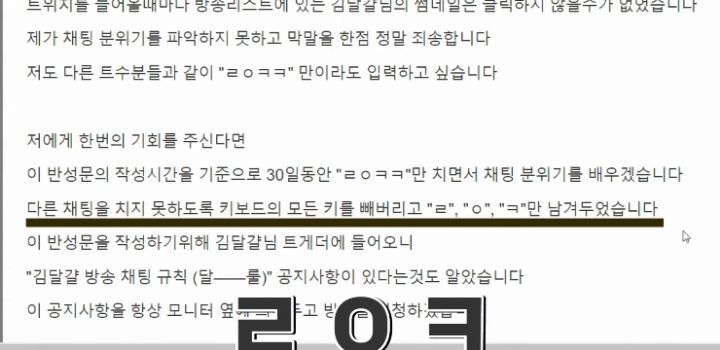 트위치에서 분위기 못 읽고 채팅치다가 밴 먹고 올린 반성문 | 인스티즈