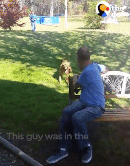 강아지에게 후각이란.gif | 인스티즈