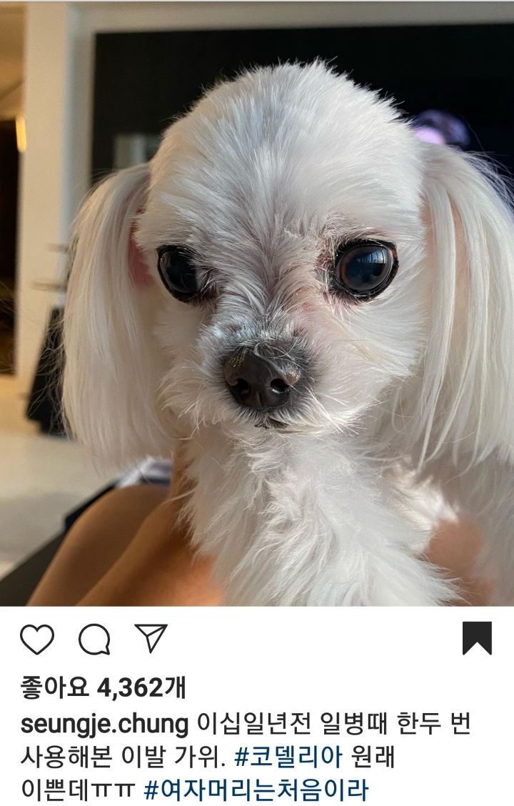 dec6b2c0b0948c7f572881097d2a380589fb9ca0