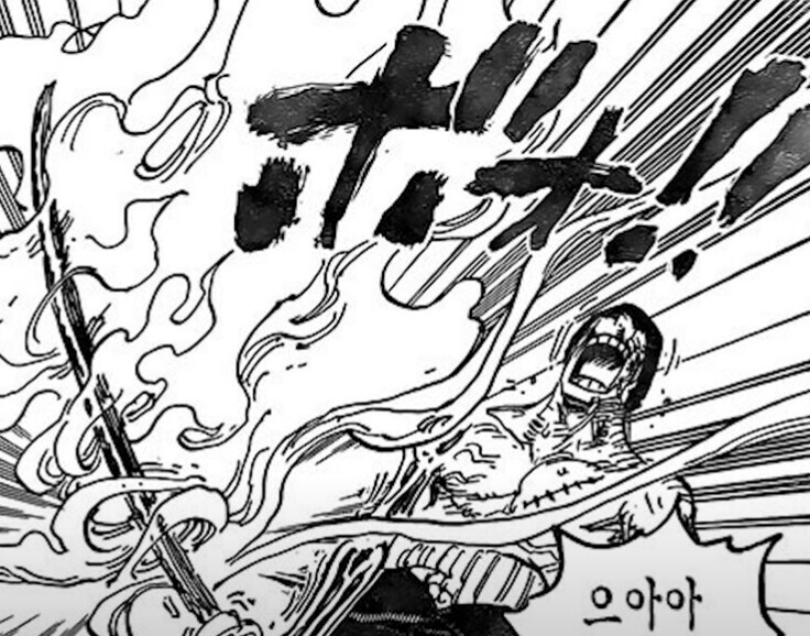 원피스) 쿠이나가 죽은 이유에 대한 새로운 해석 | 인스티즈