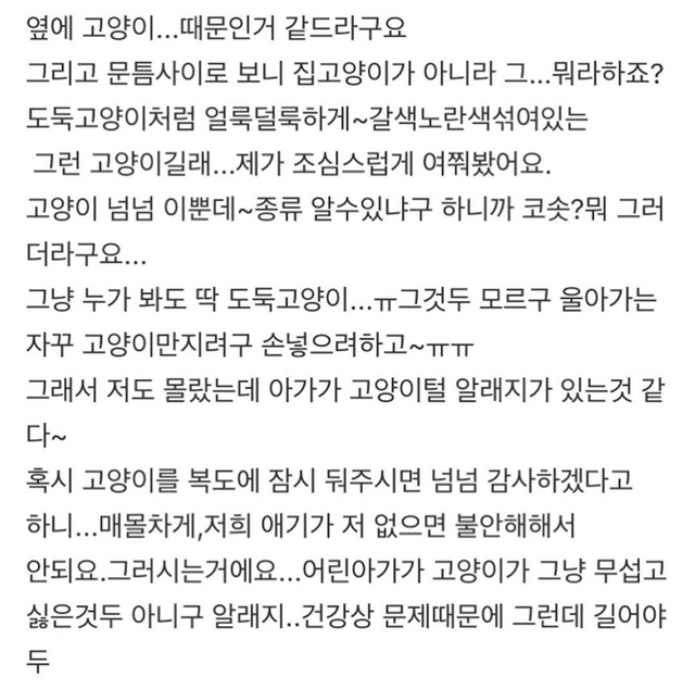 판) 기차에 고양이 데리고 탄 아가씨때문에 죽을뻔했어요 | 인스티즈