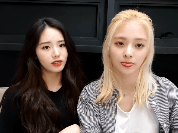 프로미스나인의 지원이와 나경이! (feat. 채영) | 인스티즈