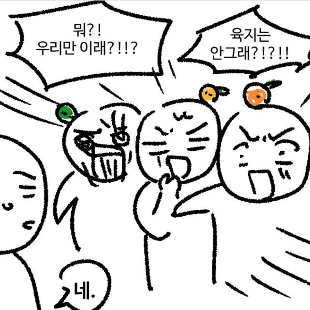 제주도 사람들이 많이 한다는 카톡 프사.jpg | 인스티즈