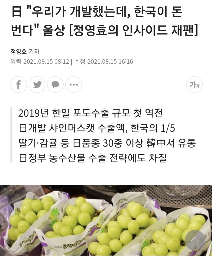 일본이 개발하고 한국이 돈버는 과일.jpg | 인스티즈