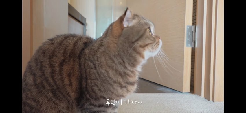 크림히어로즈 루루애오.jpg | 인스티즈
