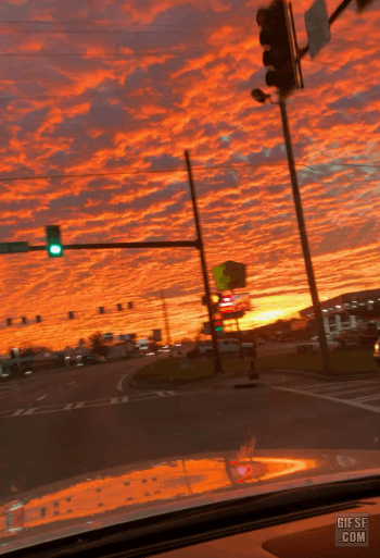 미국 조지아의 일출 | 인스티즈