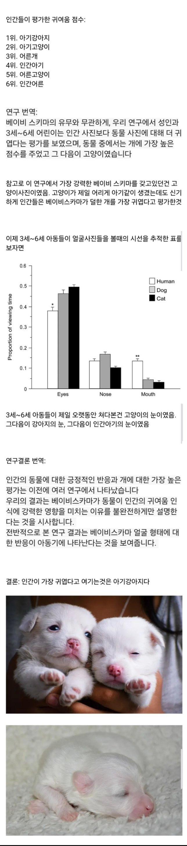 인간이 평가한 귀여움 순위 1위.JPG | 인스티즈