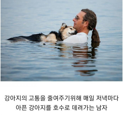인류애 가득 채워주는 사진들.jpg | 인스티즈