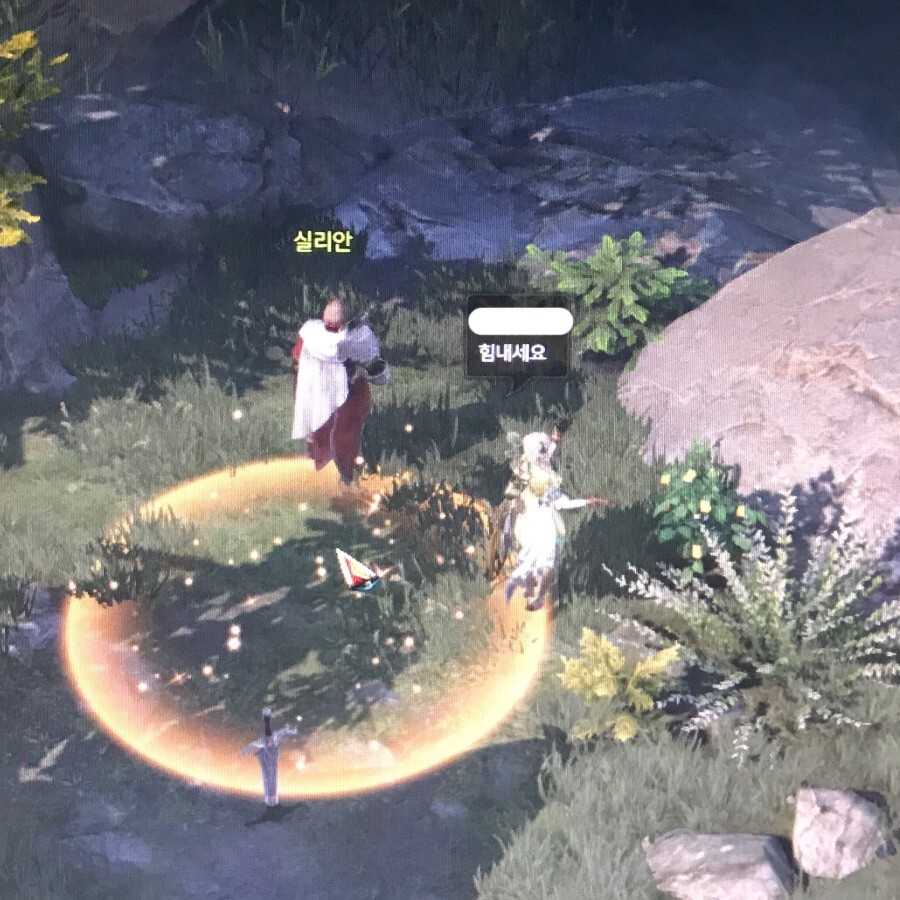 로스트아크 유저 흥분시키는 모습들 .jpg | 인스티즈