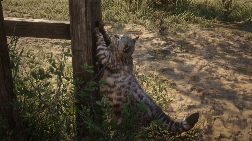 e0ab059654b310eb2c55d1da3cf339553b4ce623