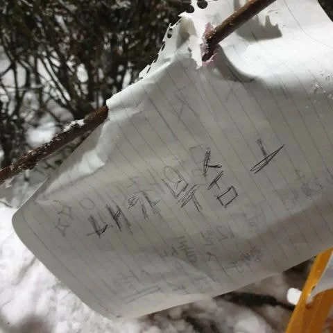 눈사람 논란에 대한 심리학자의 의견 | 인스티즈