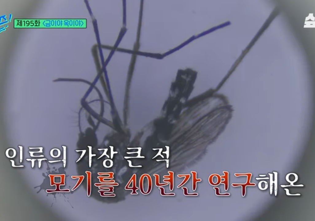 e12e943a3e08ab94e9f4c2c819b50a59768e4d26