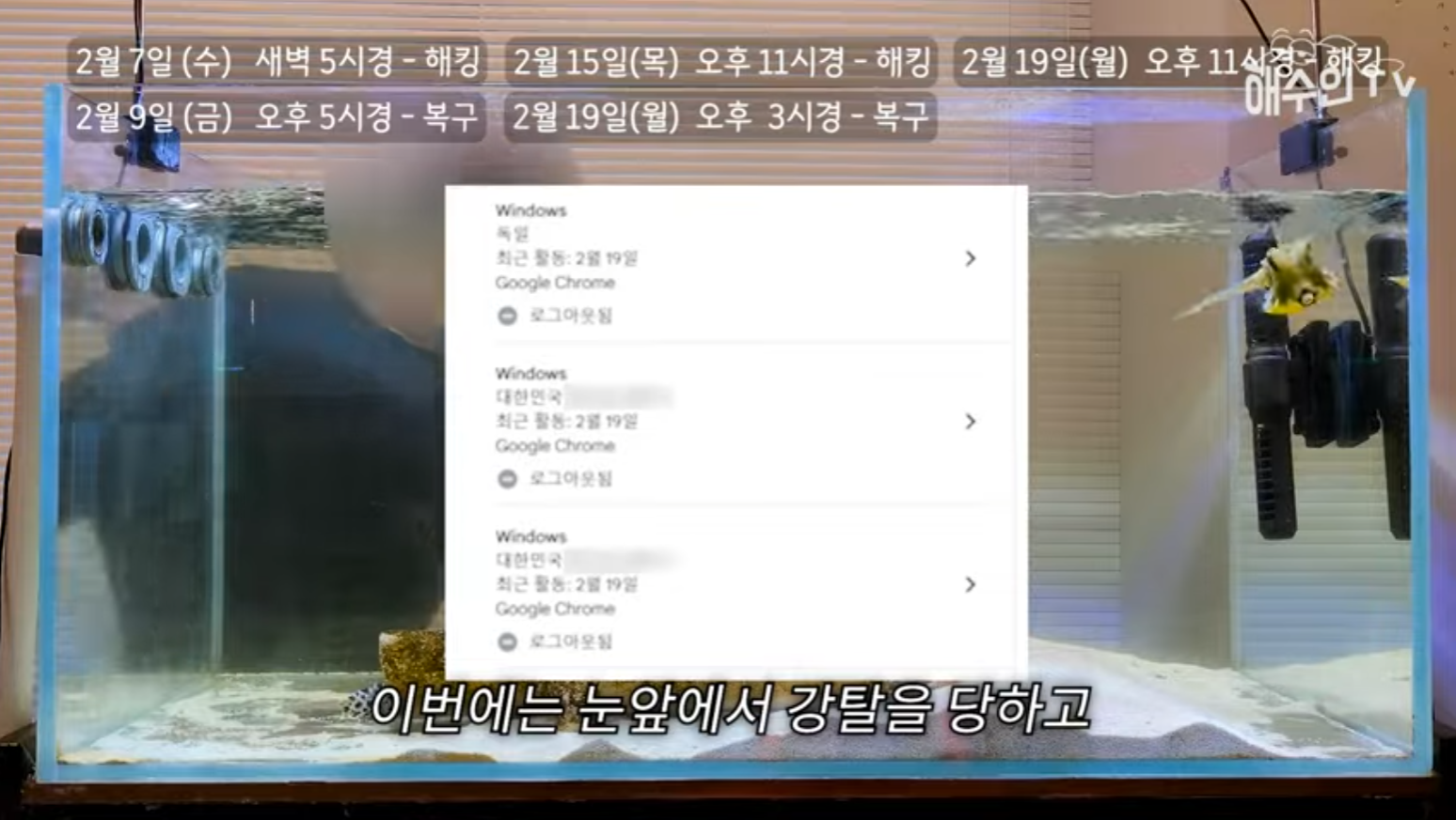 유튜브 계정이 3번이나 해킹 당한 이유 | 인스티즈