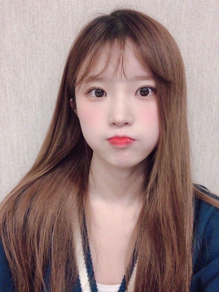 V라이브 채널에 올라온 프로미스나인 총 정리 2탄 | 인스티즈