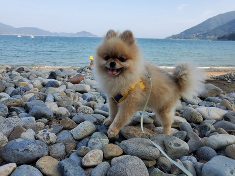 보고싶은 우리 맥주 | 인스티즈