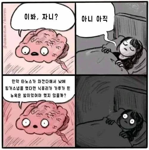 당신이 잠들기전 뇌 | 인스티즈
