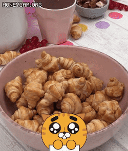 요즘 해외에서 유행하는 시리얼.jpg | 인스티즈