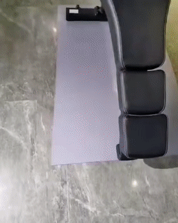 헬스장 고양이 3년이면 | 인스티즈