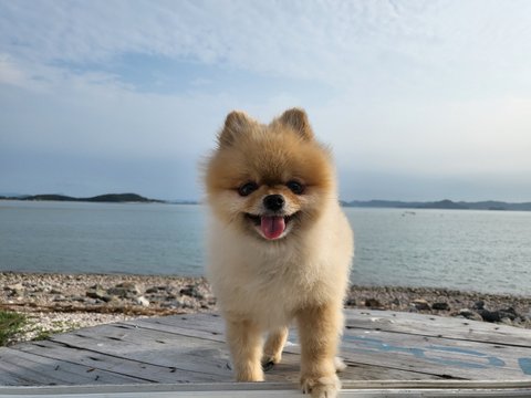 보고싶은 우리 맥주 | 인스티즈