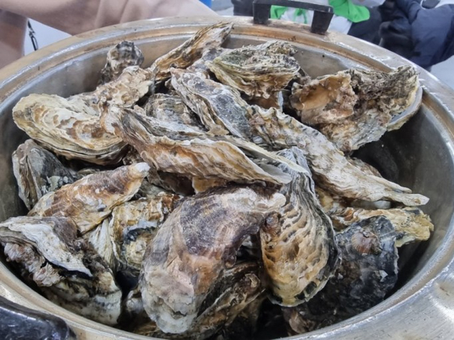 내가 좋아하는 굴 요리법은? | 인스티즈