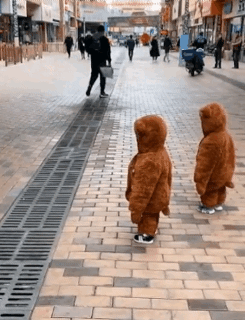 서로가 신기해서 쳐다 봄 .gif | 인스티즈