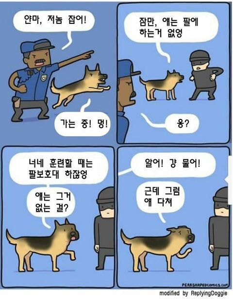 경찰견이 짤리는 이유 중 하나 | 인스티즈