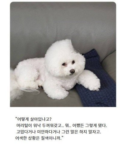 ??? : 어떻게 살아있는 거지??? | 인스티즈