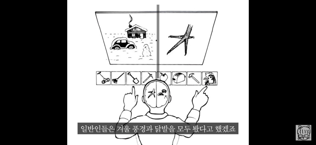 (스압)분리 뇌 실험 | 인스티즈