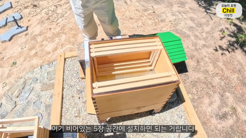 양봉 시작한 올리버쌤 근황.jpg | 인스티즈