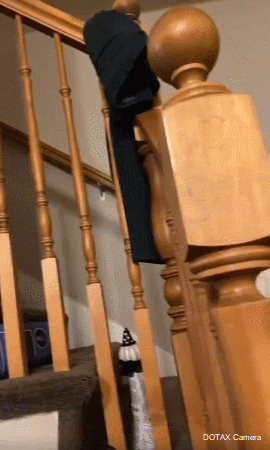 할로윈 준비하는 딸 | 인스티즈