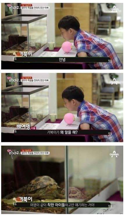 (진짜 너무 슬픔, 눈물 흘릴 각오 필수) 엄마의 죽음을 받아들이는 아이 | 인스티즈