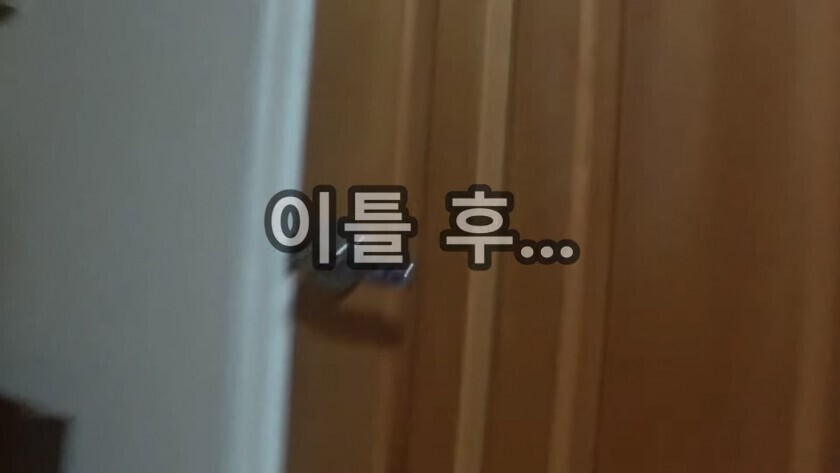 모기 때문에 고생하는 여동생 | 인스티즈