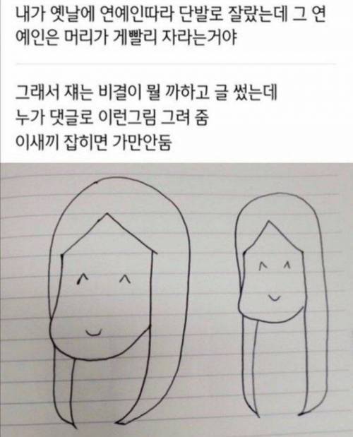 연예인 머리가 상대적으로 빨리 자라는 이유 | 인스티즈