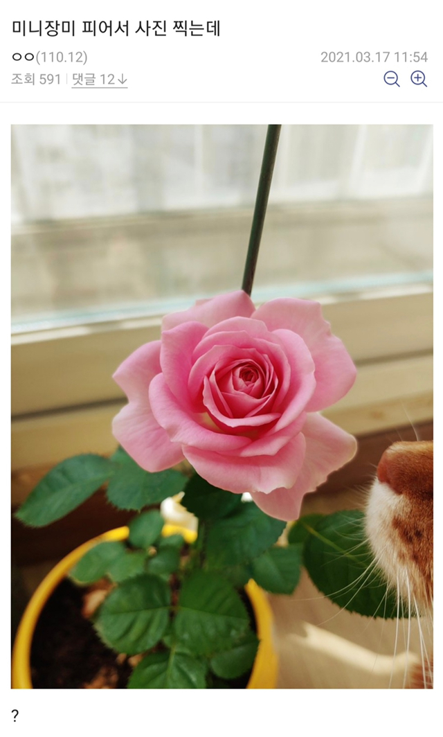 e34b617bc61c30635c36c9006120b9490b71ab26