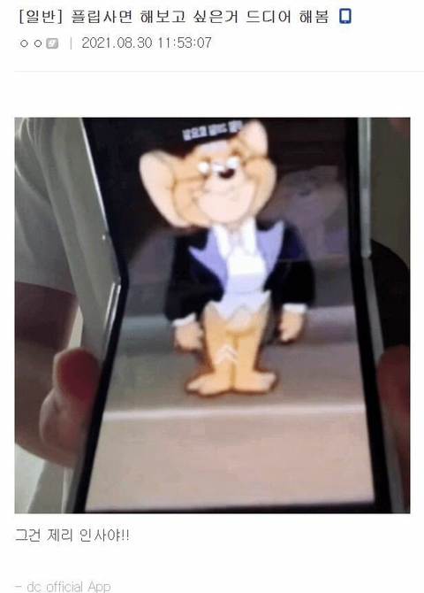 플립사고 소원성취한 디씨인.jpgif | 인스티즈