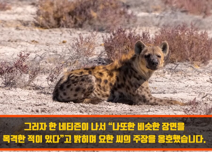 인간외에 자살을 선택하는 동물이 있을까? | 인스티즈