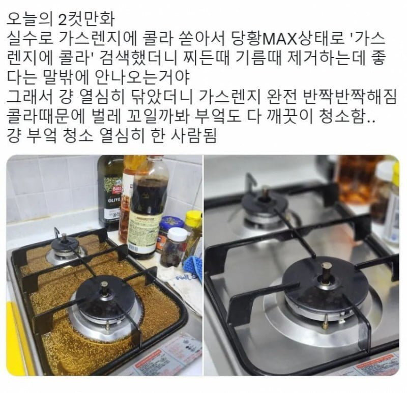 콜라 쏟았는데 오히려 좋아 | 인스티즈