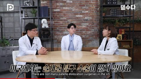 국내 소형견이 유독 슬개골 탈구가 많은 이유 | 인스티즈