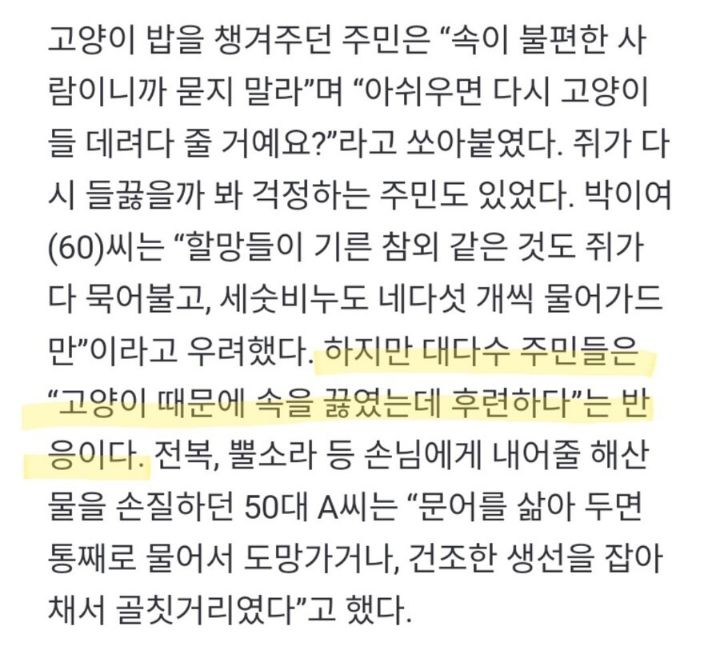 마라도 주민들 "고양이 때문에 속을 끓였는데 후련하다" | 인스티즈