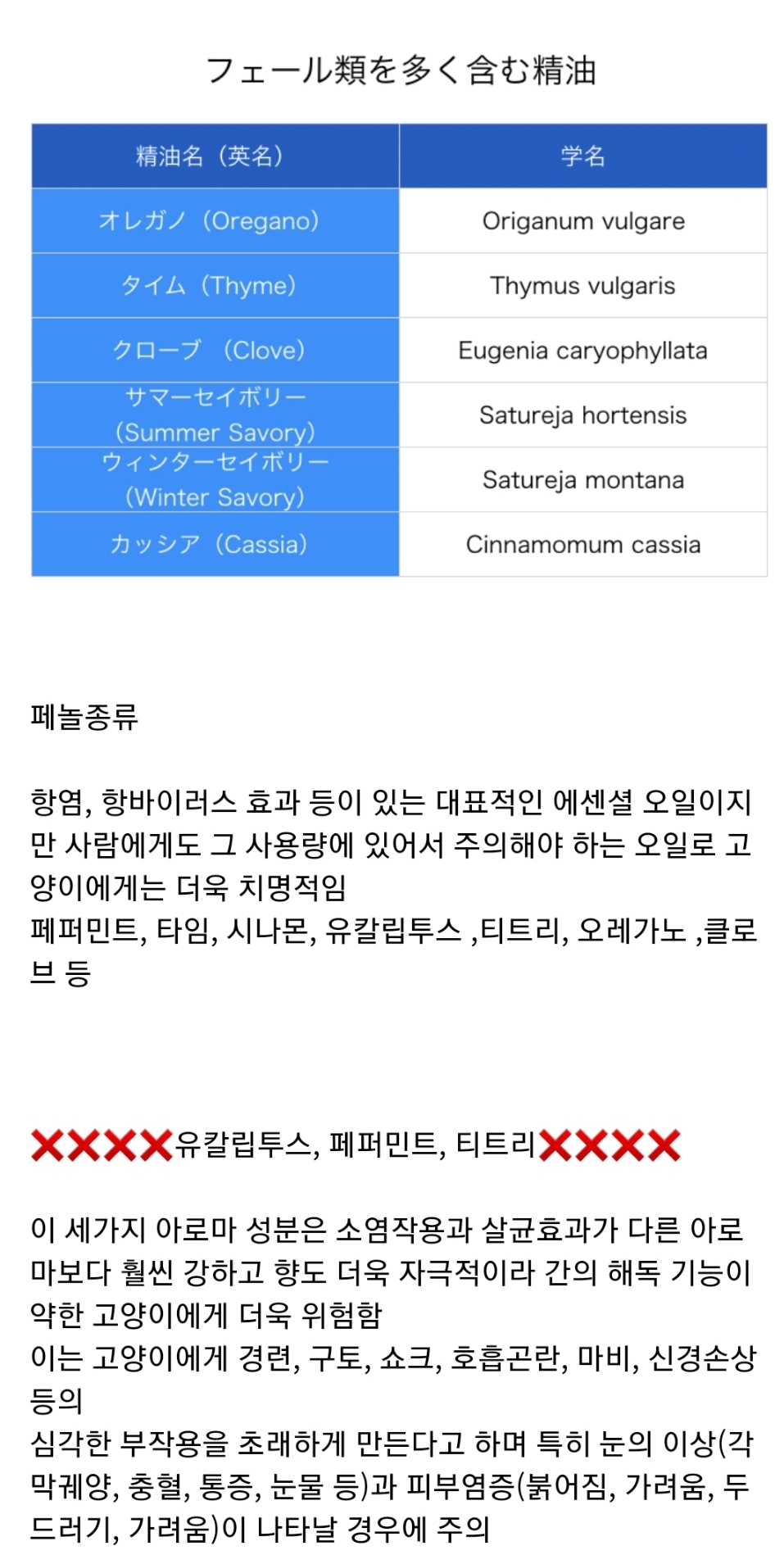 고양이 키우는 집에 디퓨져, 향초, 꽃 선물할때 주의해야 하는 이유 | 인스티즈