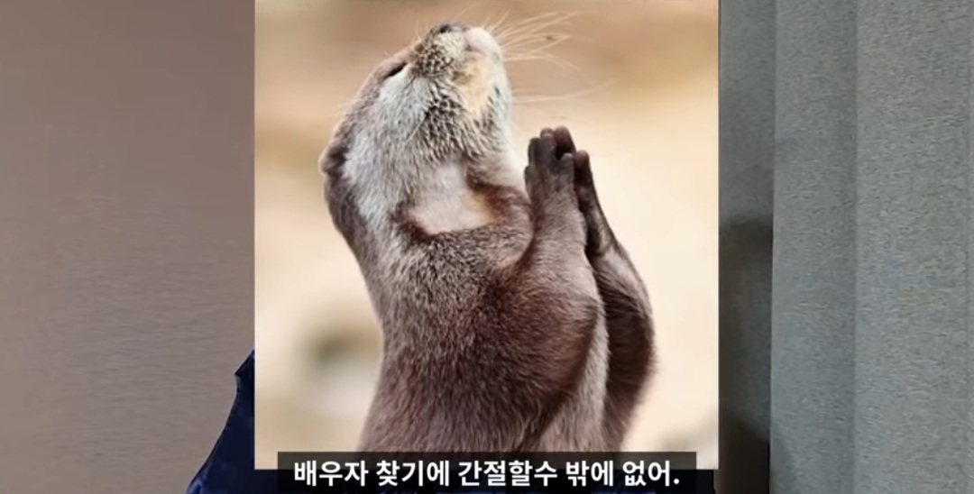 결혼은 배우자랑 평생 같이하는 조별과제다 | 인스티즈